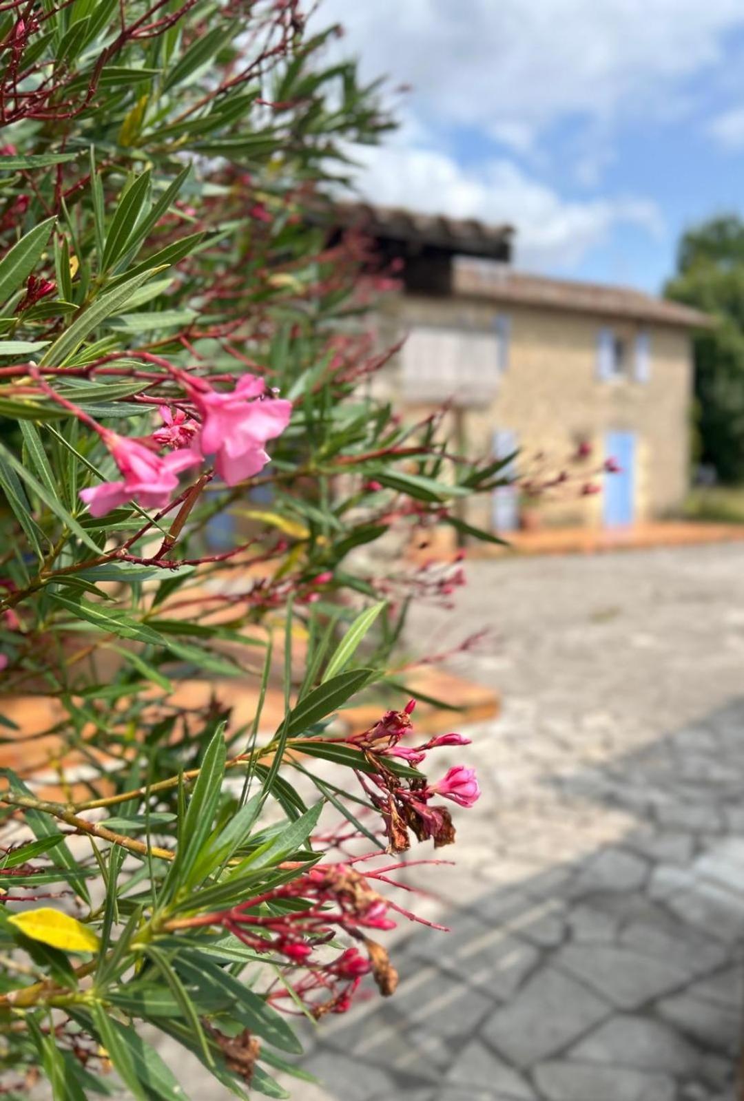Domaine De Fontsauzine - Gites Et Chambre D'Hotes Genouille  Exteriér fotografie