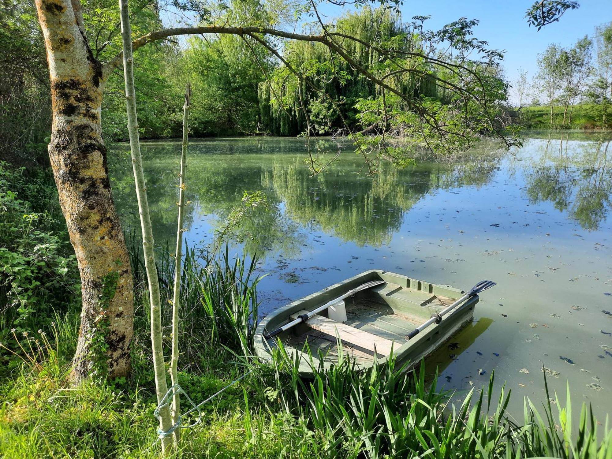 Domaine De Fontsauzine - Gites Et Chambre D'Hotes Genouille  Exteriér fotografie