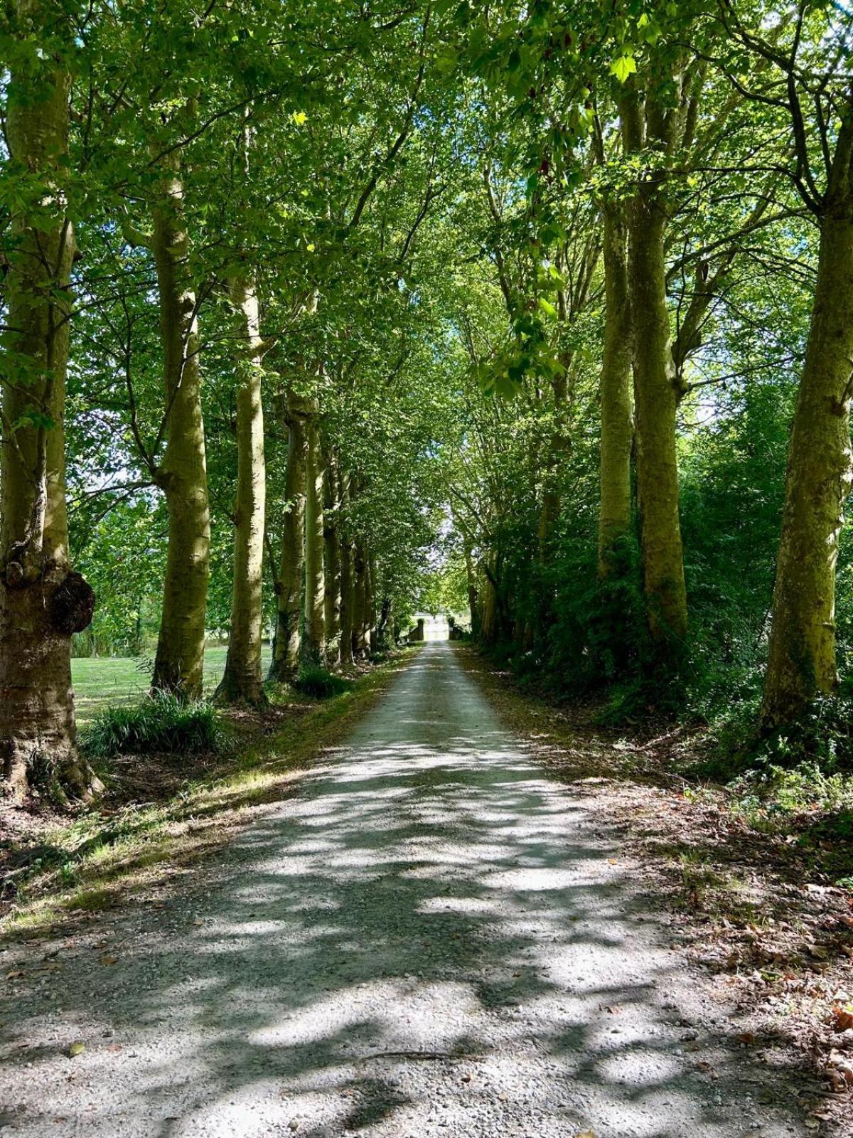 Domaine De Fontsauzine - Gites Et Chambre D'Hotes Genouille  Exteriér fotografie