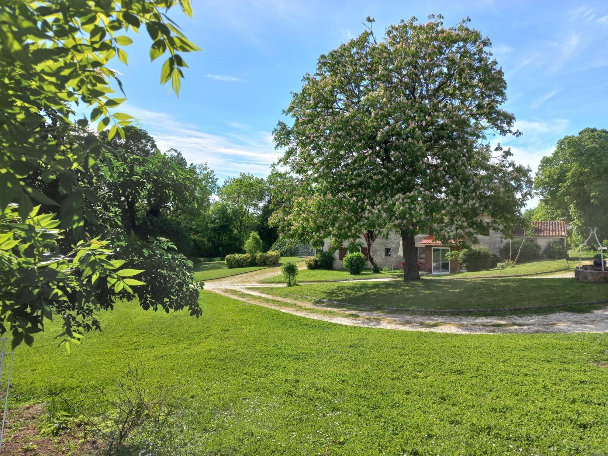 Domaine De Fontsauzine - Gites Et Chambre D'Hotes Genouille  Exteriér fotografie
